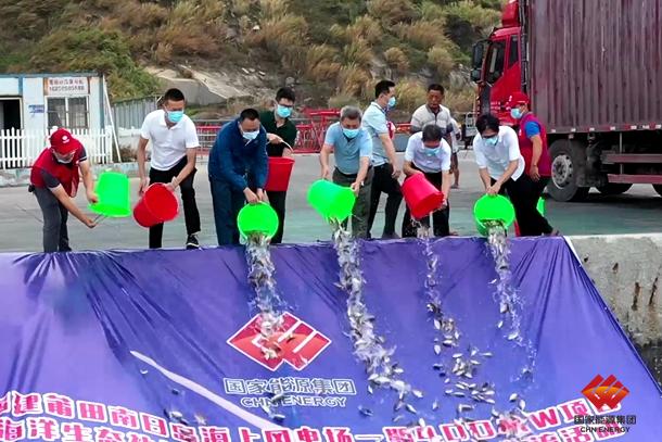 023f8bd96fc54f7e81c04892152c84ca